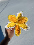 Handmade Crochet Parrot Tulips