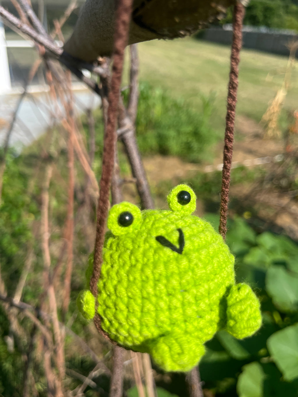 Swinging Crochet Frog
