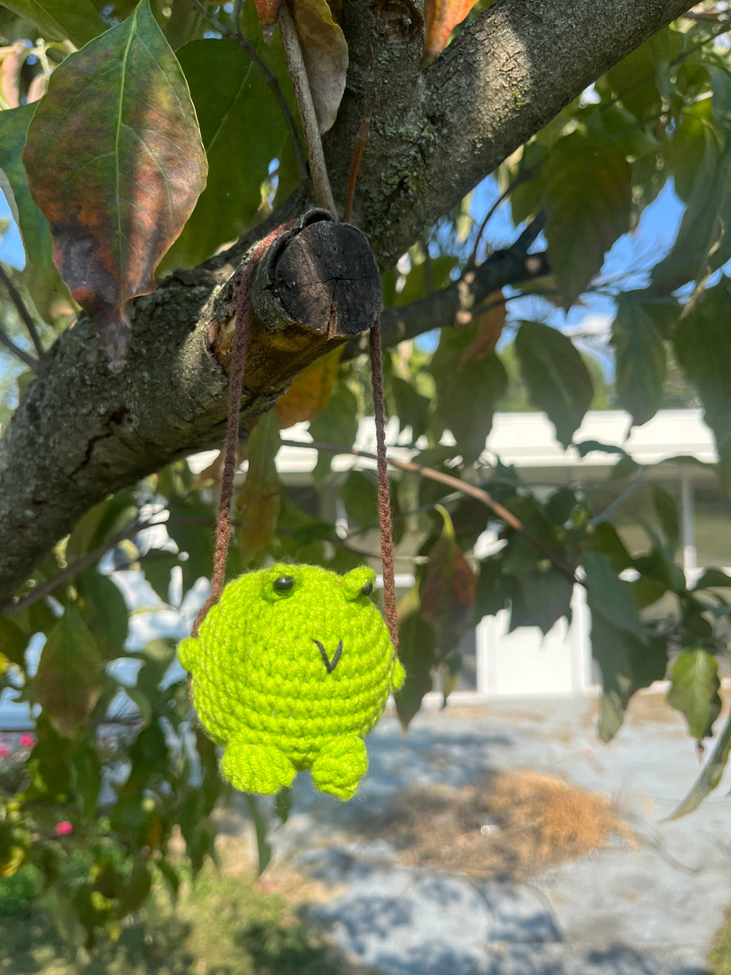Swinging Crochet Frog