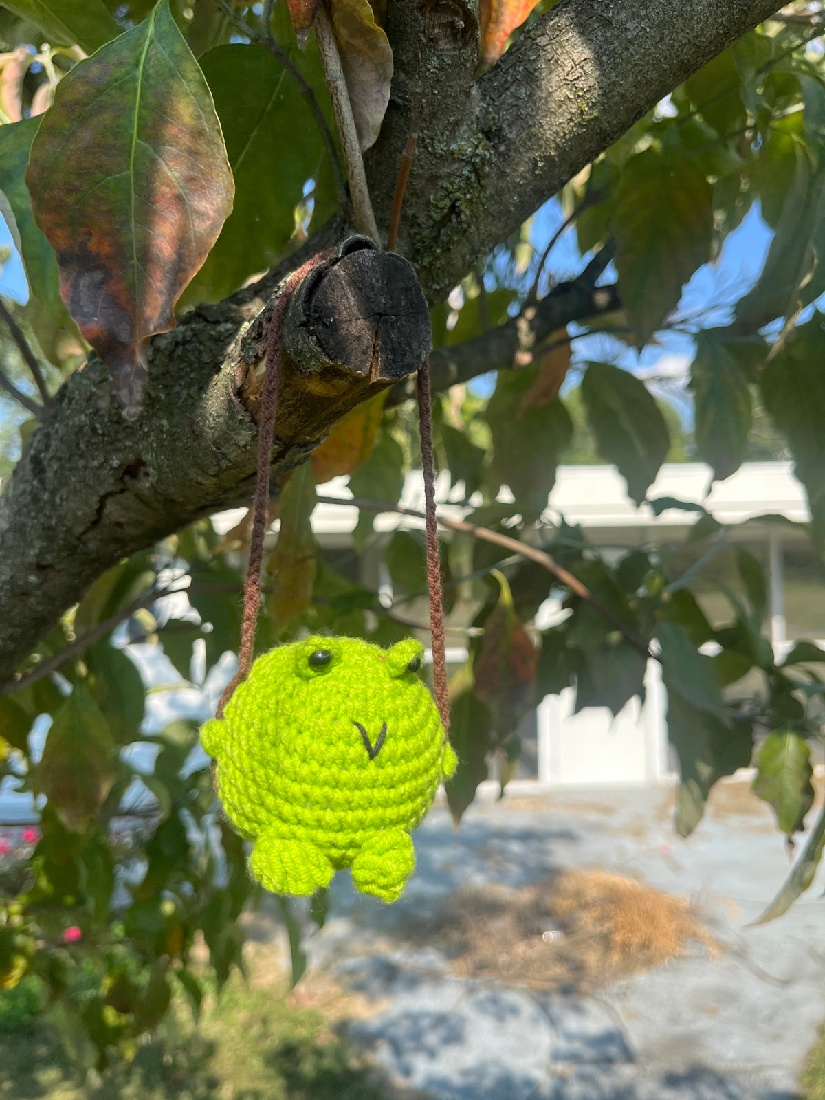 Swinging Crochet Frog