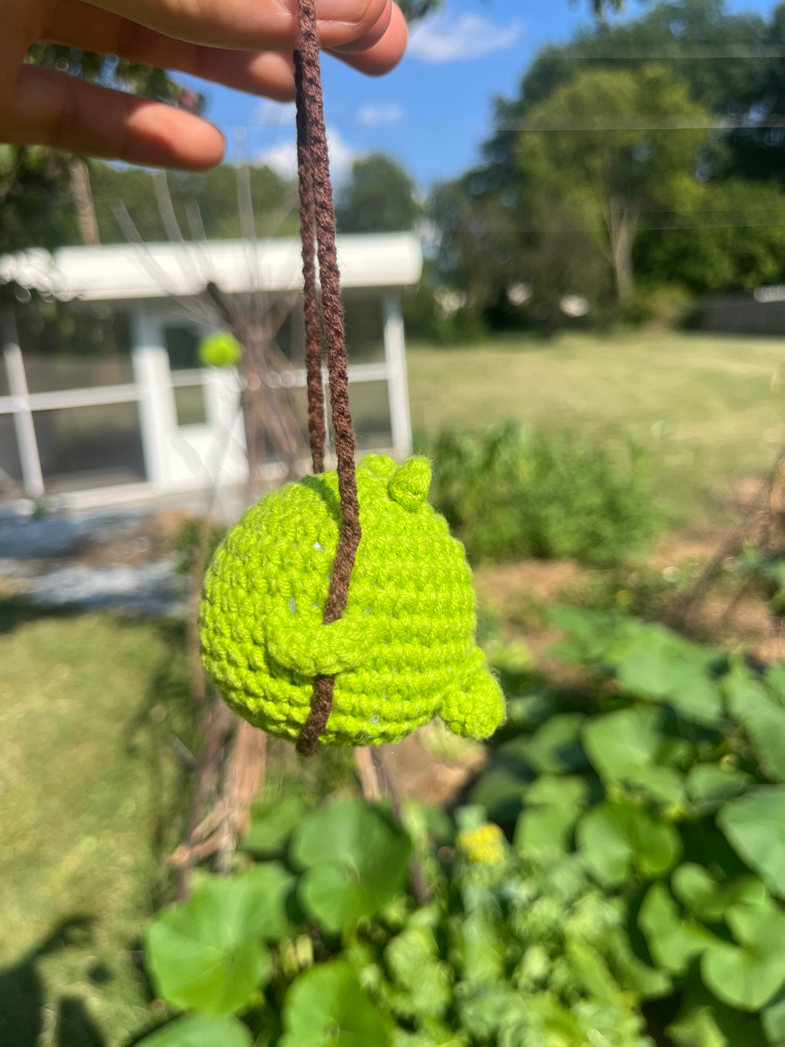 Swinging Crochet Frog