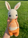 Handmade Crochet Bunny Rabbit - 10 Inch Stuffed Anima