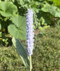 Crochet Lavender With Stem